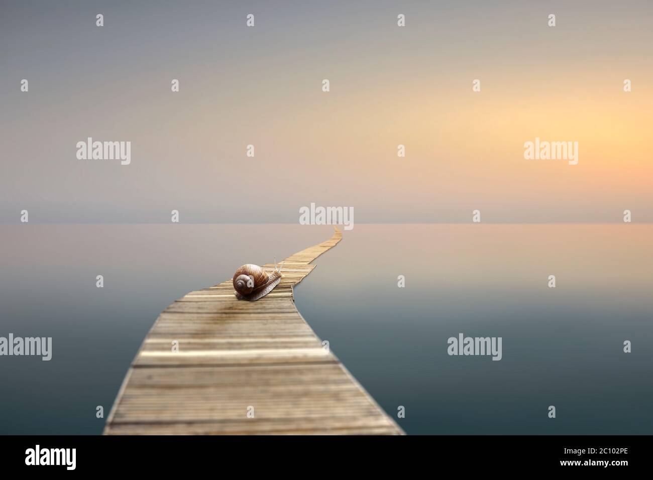 escape concept, snail on pier into the sunset. Stock Photo