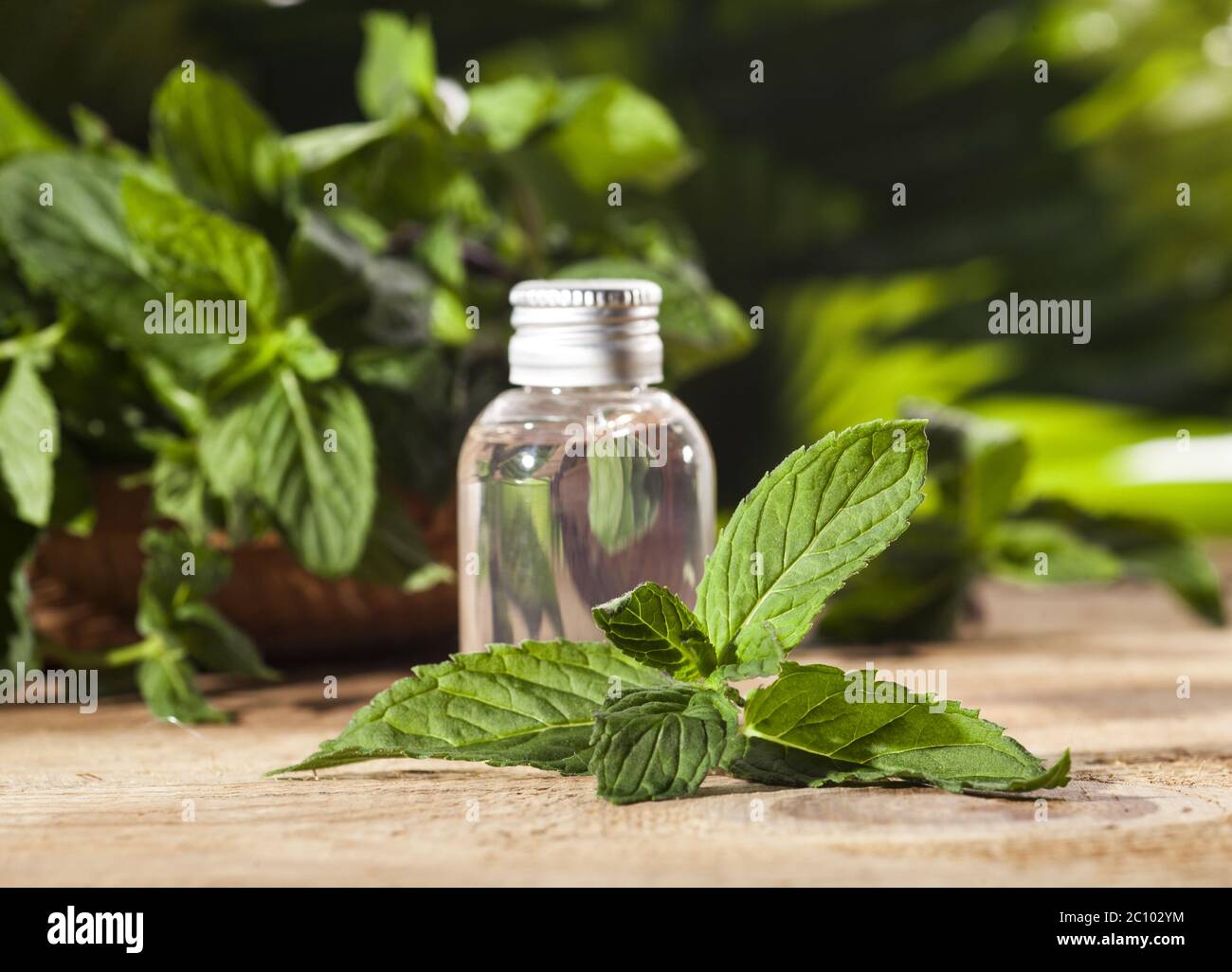 Mint Essential Oil Stock Photo Alamy