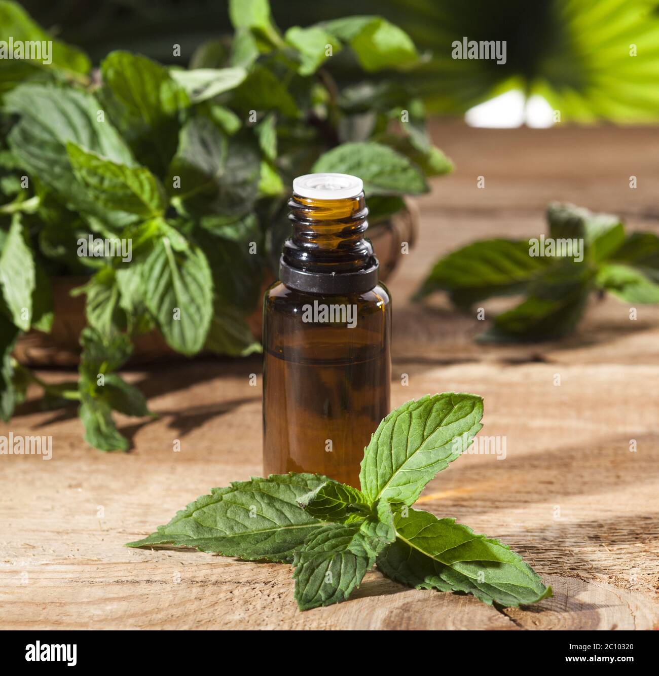 Mint Essential Oil Stock Photo Alamy