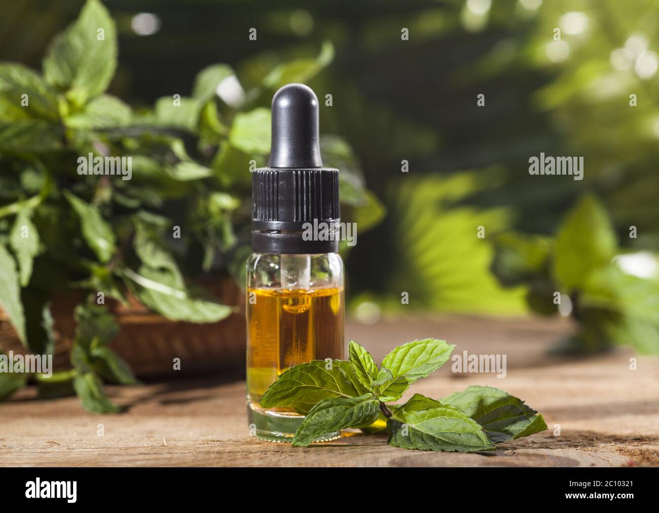 Mint Essential Oil Stock Photo Alamy