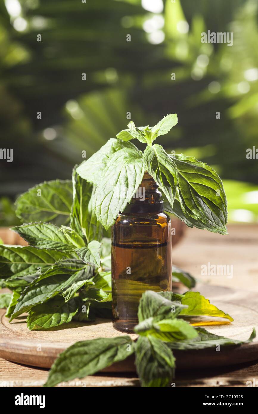 Mint Essential Oil Stock Photo Alamy