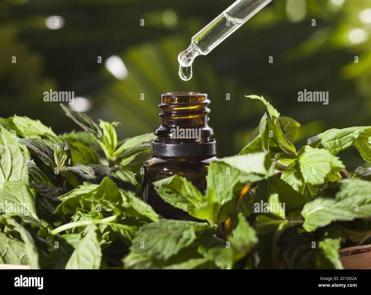 Mint Essential Oil Stock Photo Alamy