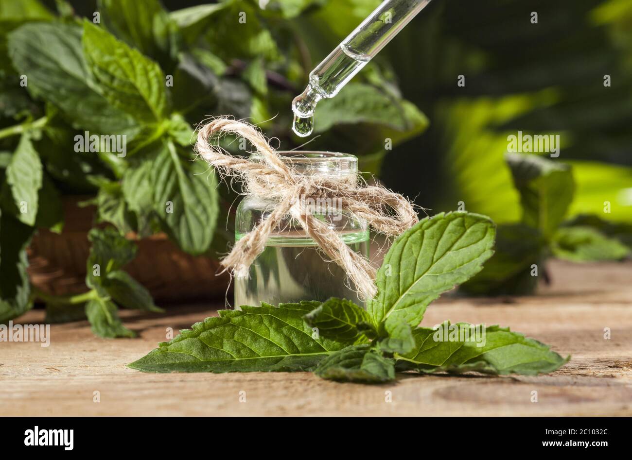 Mint Essential Oil Stock Photo Alamy