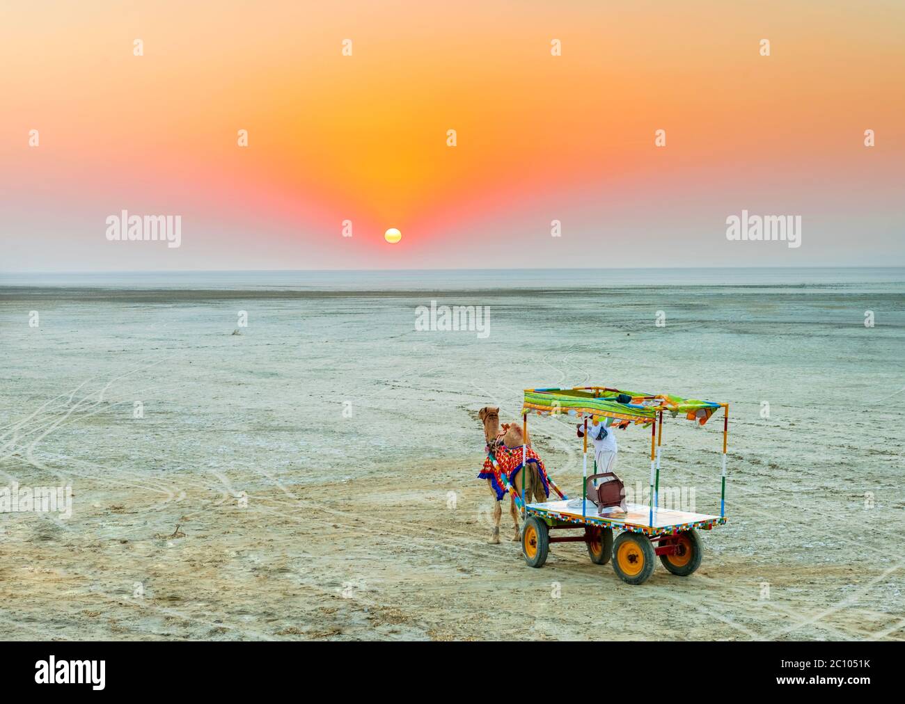 Decorated camel cart at  Rann of Kutch, Gujarat, India Stock Photo