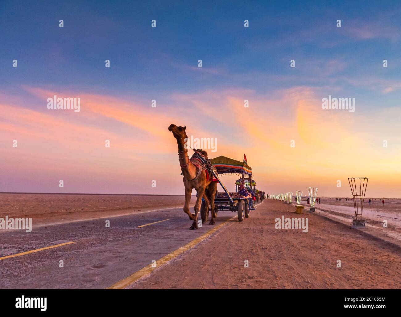 Decorated camel cart at Greater Rann of Kutch, Gujarat, India Stock Photo