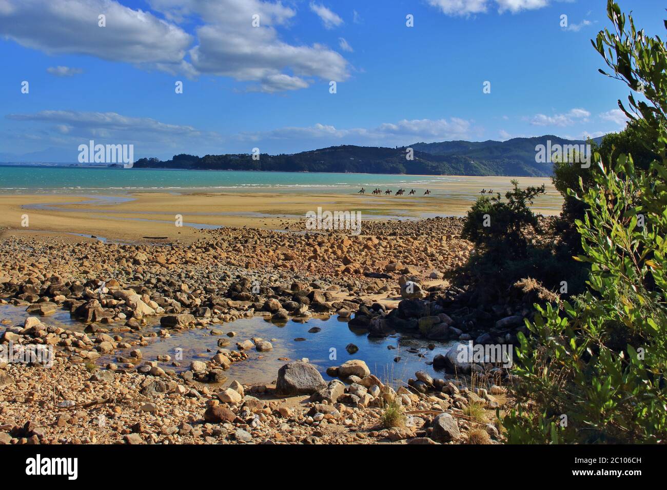 Magnificent Tinline Bay in New Zealand with horse rider on the beach ...