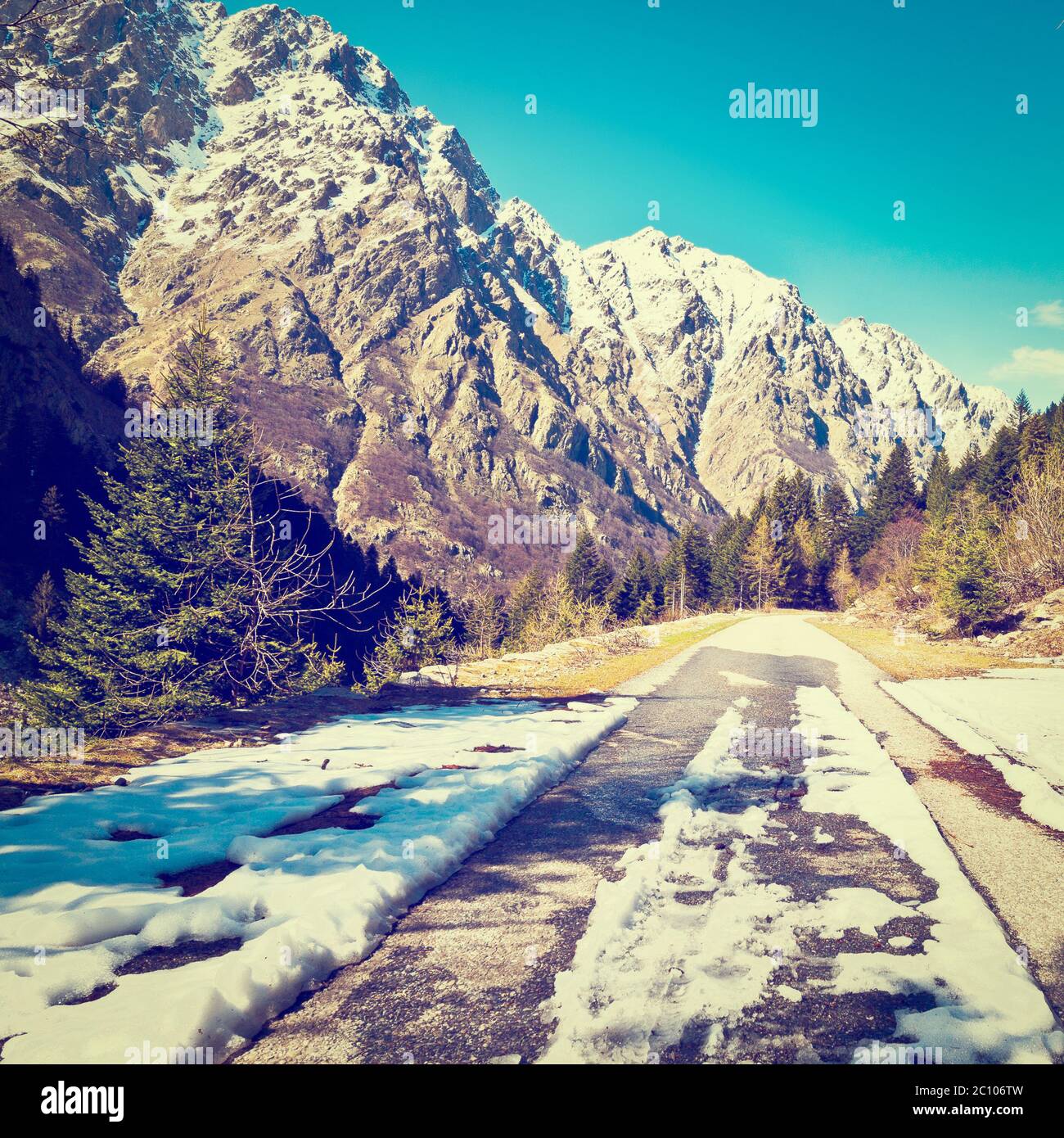Melting snow grass hi-res stock photography and images - Alamy