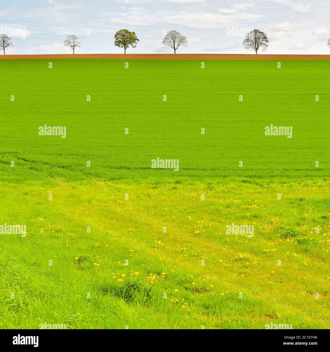 Dirt pasture hi-res stock photography and images - Alamy