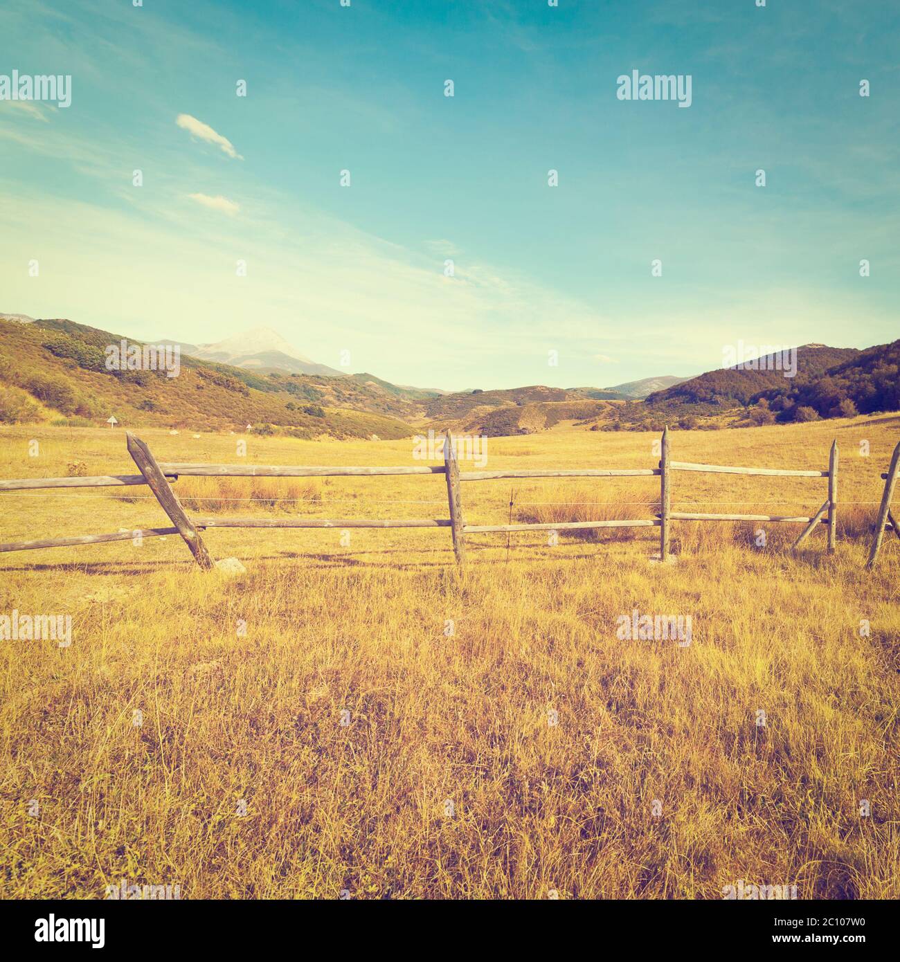 Cleaning wood fence hi-res stock photography and images - Alamy