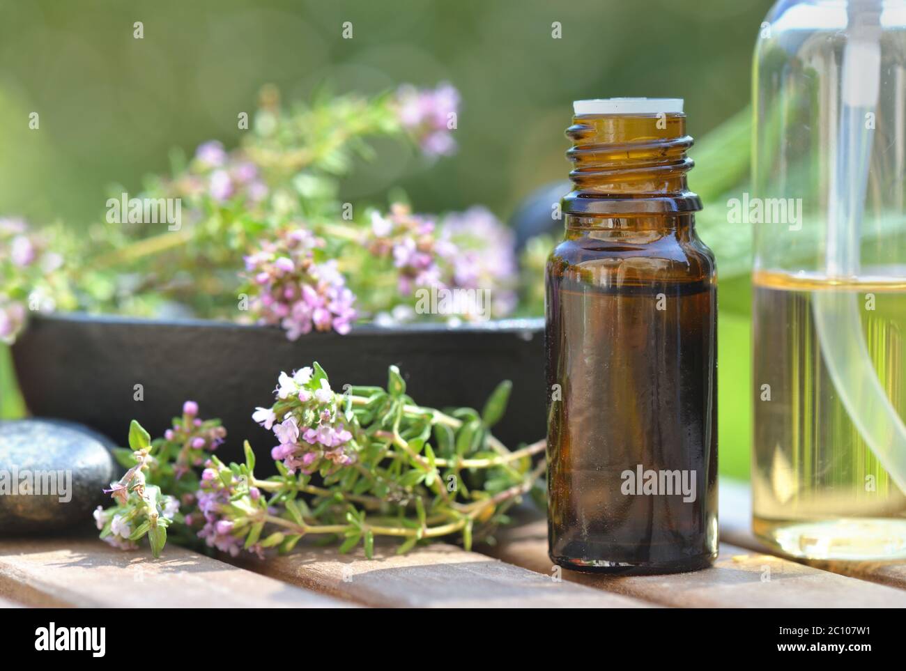 close on a bottle of essential oil with aromatic fresh  plant Stock Photo