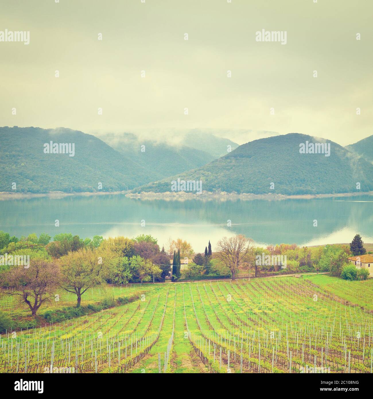 Cloudy Bay Winery ,Blenheim,South Island,New Zealand Stock Photo - Alamy