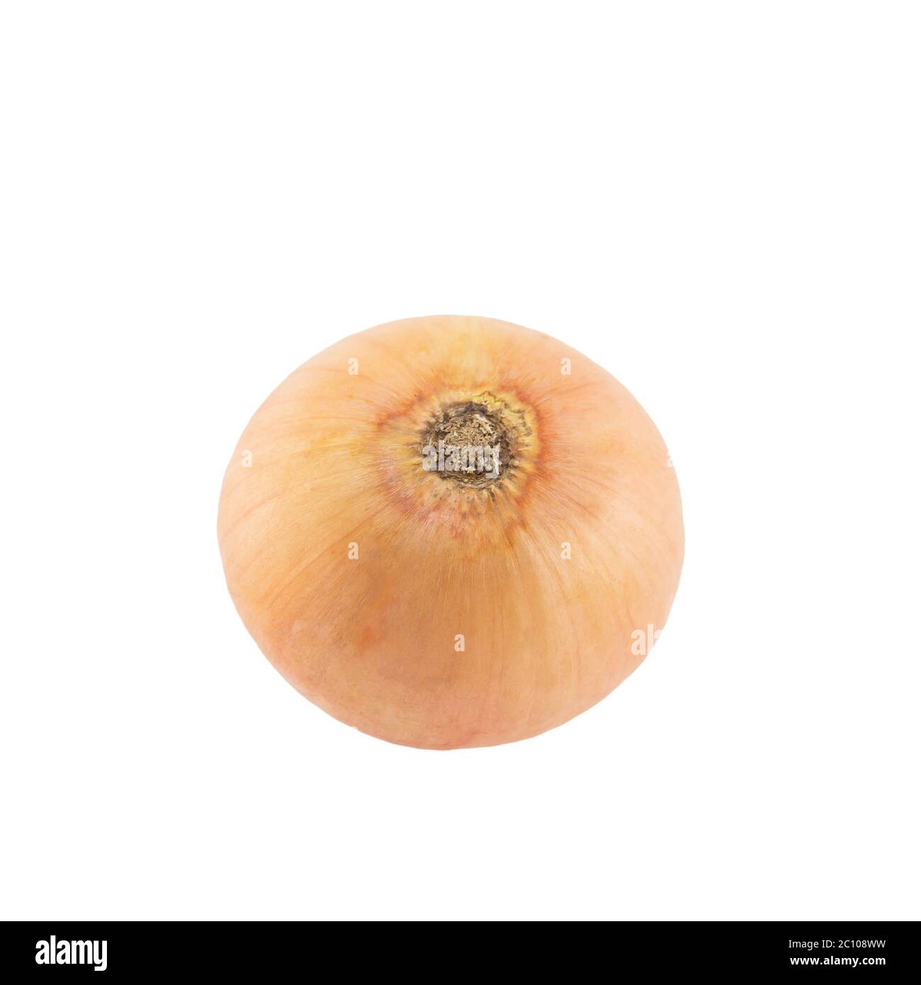Onion isolated on white background Stock Photo - Alamy