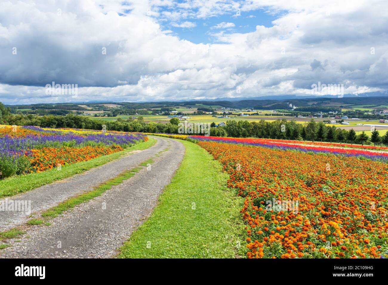 dirt road in flower farm in japan hokkaido Stock Photo Alamy