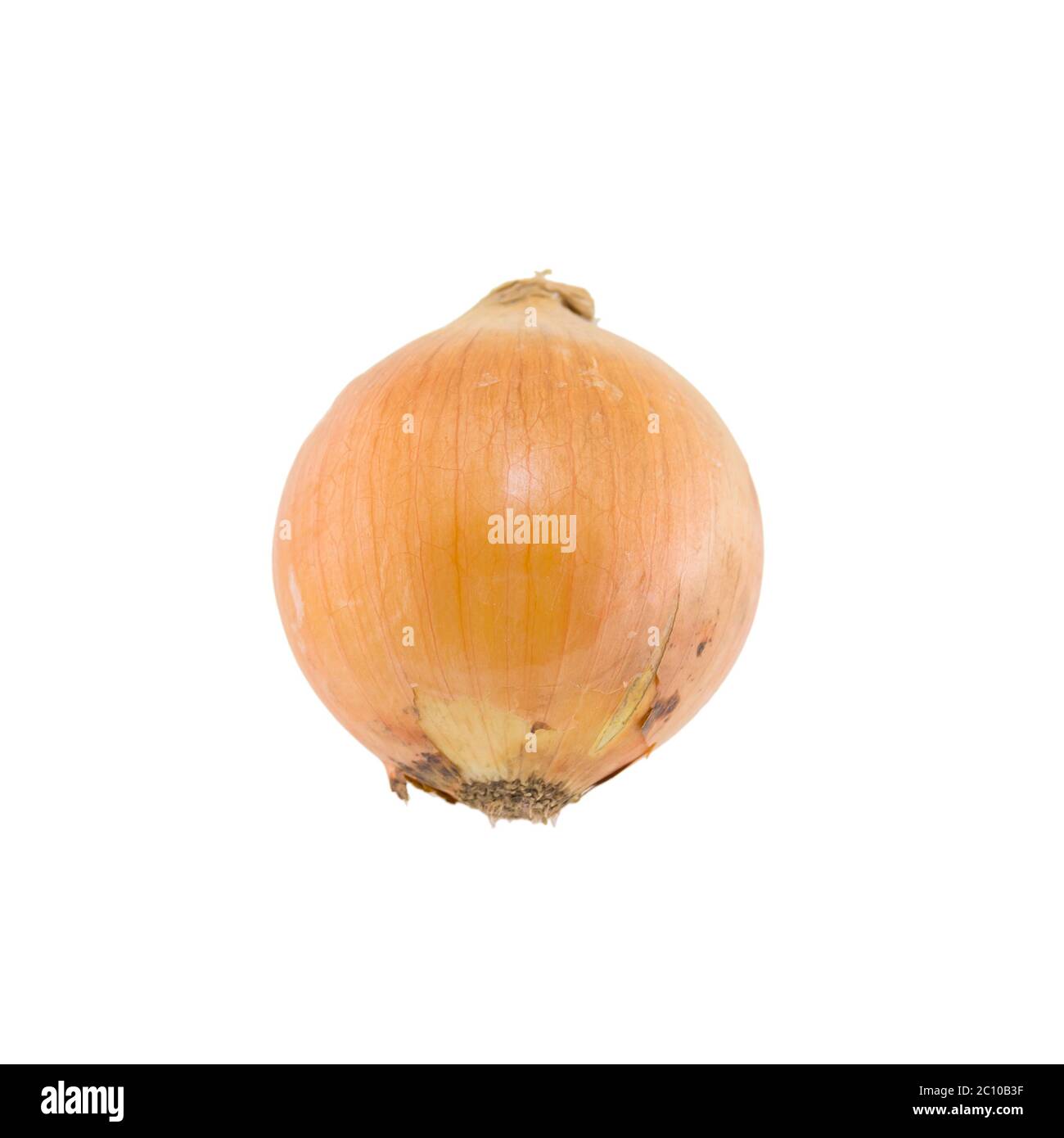 Onion isolated on white background Stock Photo - Alamy