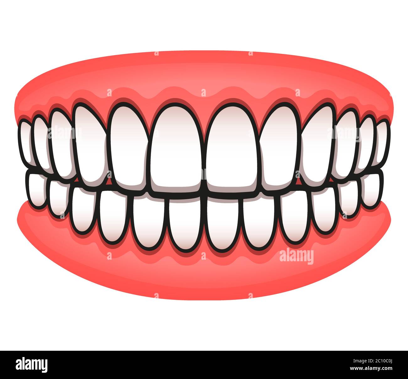 Vector illustration of teeth design isolated drawing Stock Vector