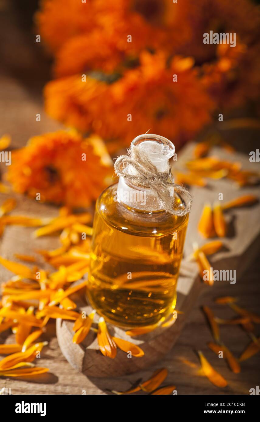 Marigold Essential Oil Stock Photo Alamy