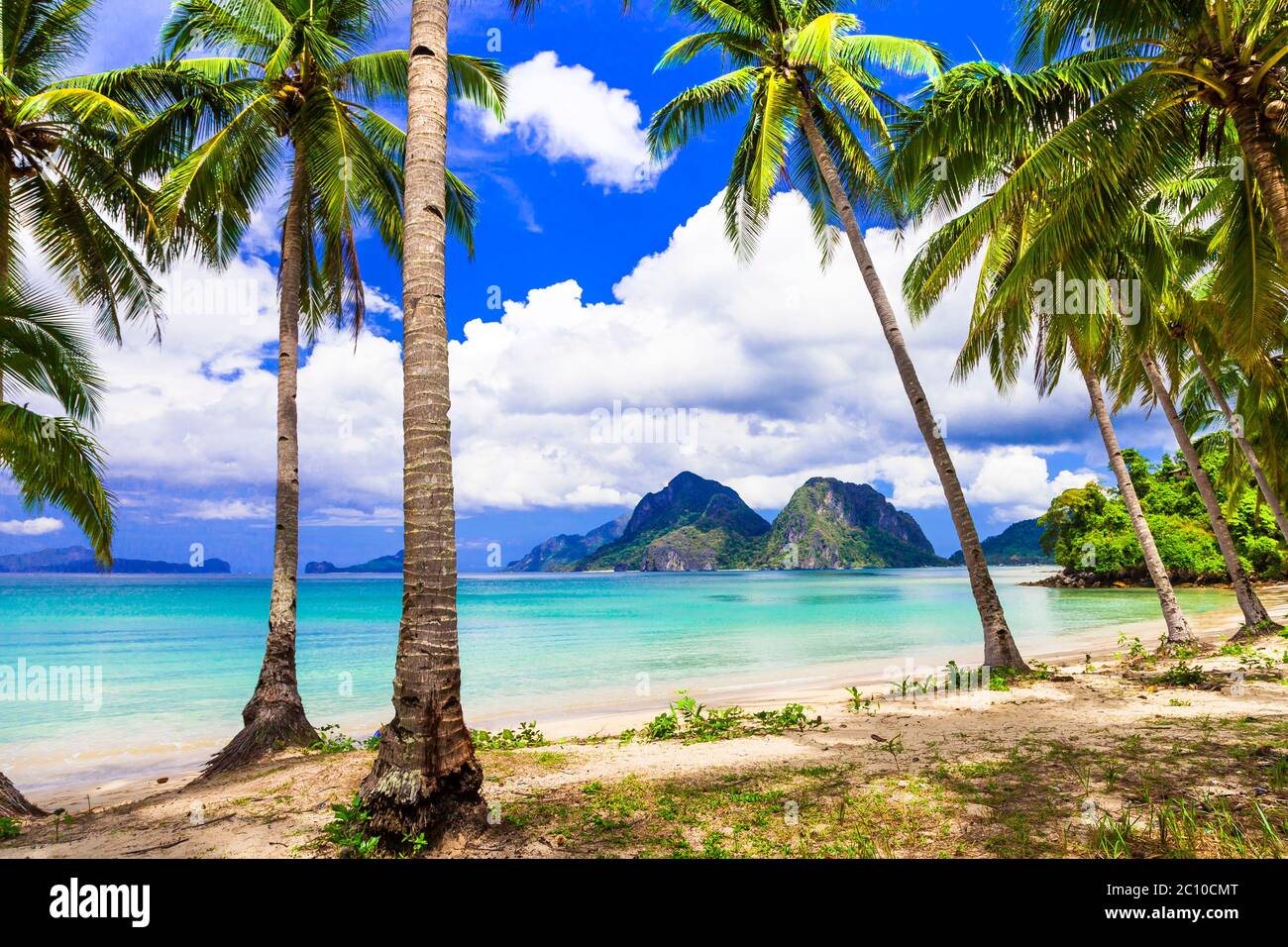 Wonderful idyllic nature scenery - tropical beach with coconut palm trees. El Nido. Palawan island , Philippines Stock Photo