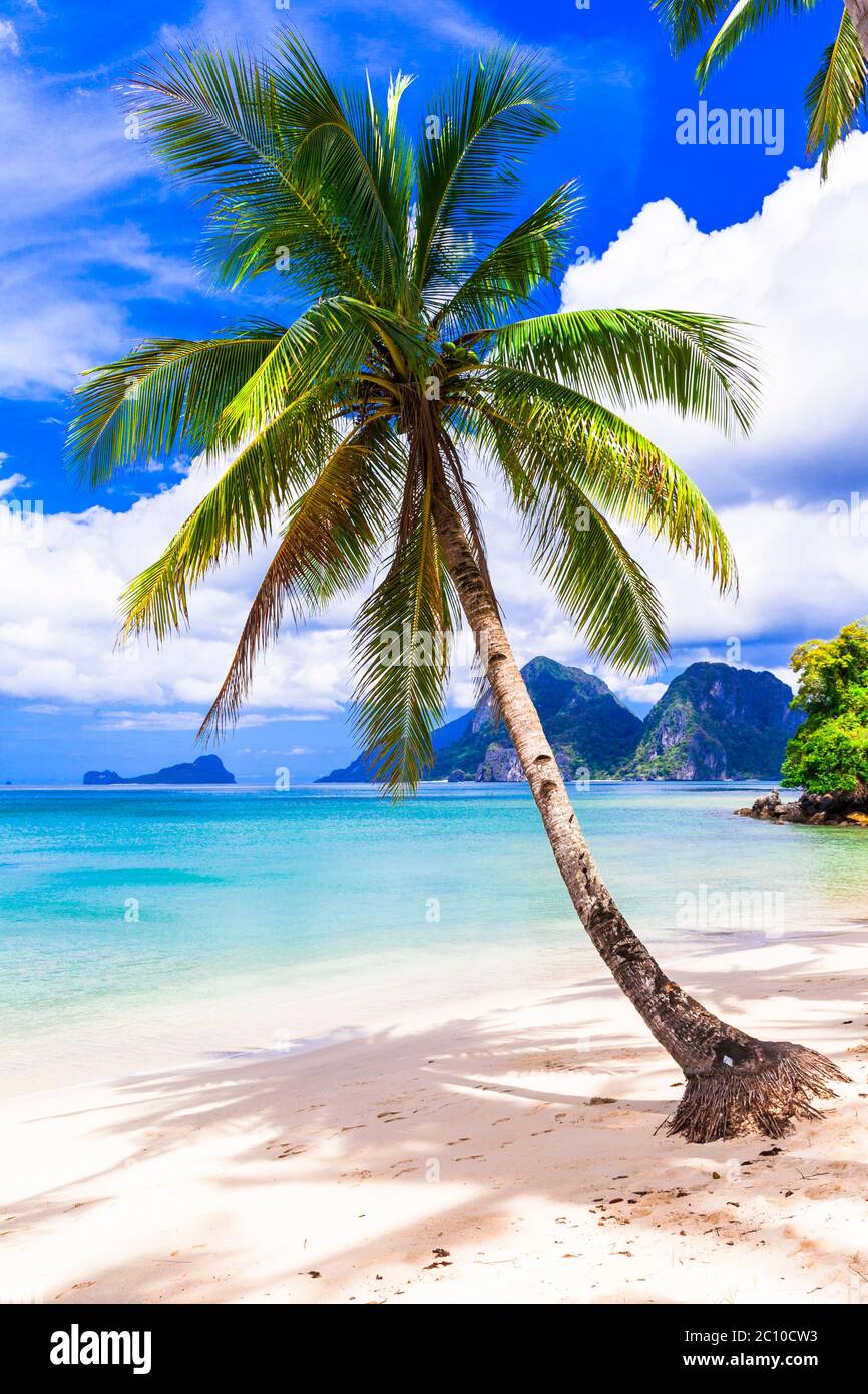 Wonderful idyllic nature scenery - tropical beach with cocnut palm trees. El Nido. Palawan island , Philippines Stock Photo