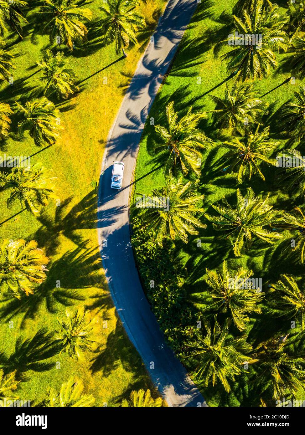 Aerial Photo of Campervan on a road surrounded by palm trees, Port Douglas, Australia Stock Photo