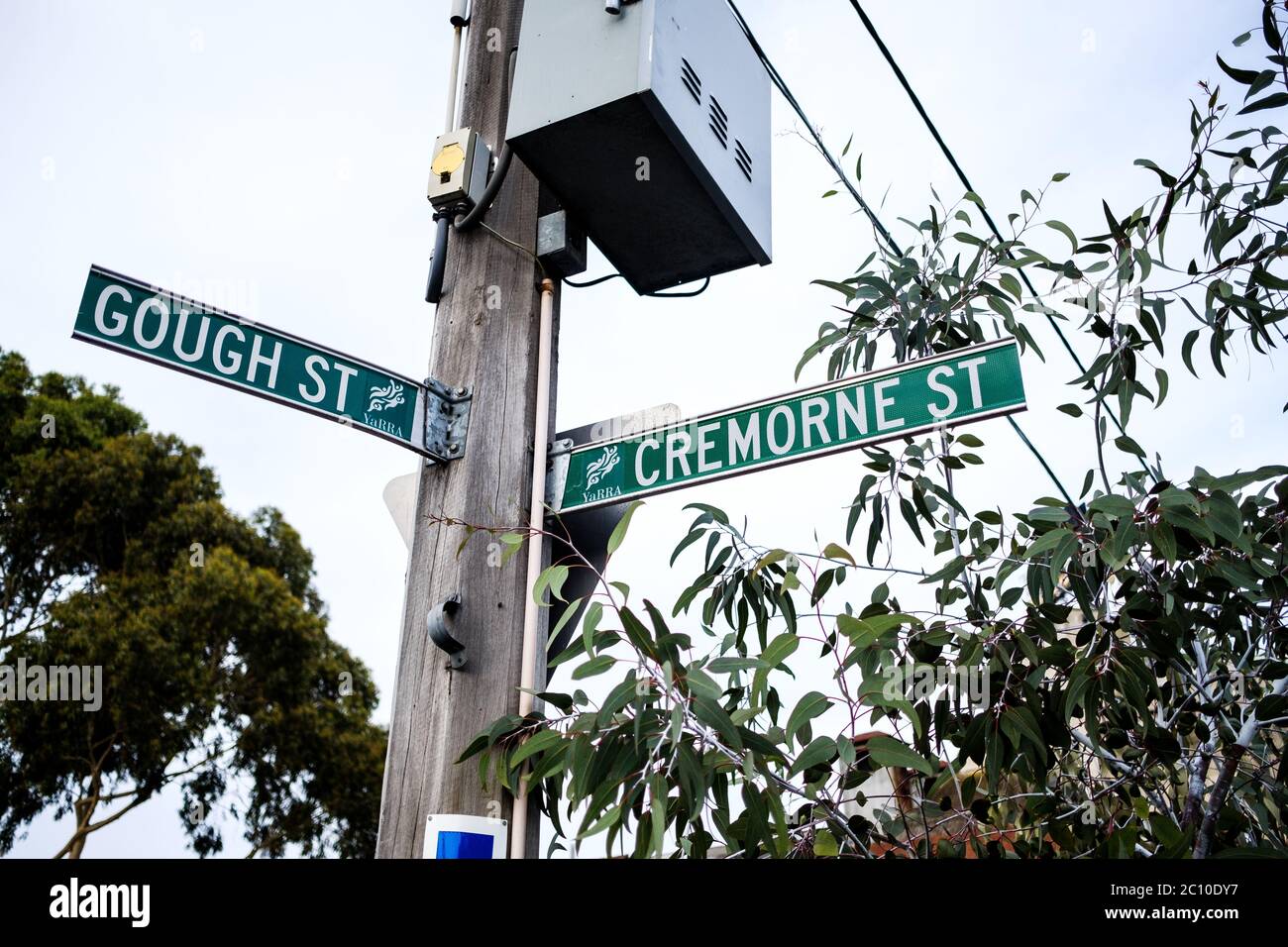 Street Sign & Eucalyptus Tree in the Suburbs of Melbourne, Victoria, Australia Stock Photo