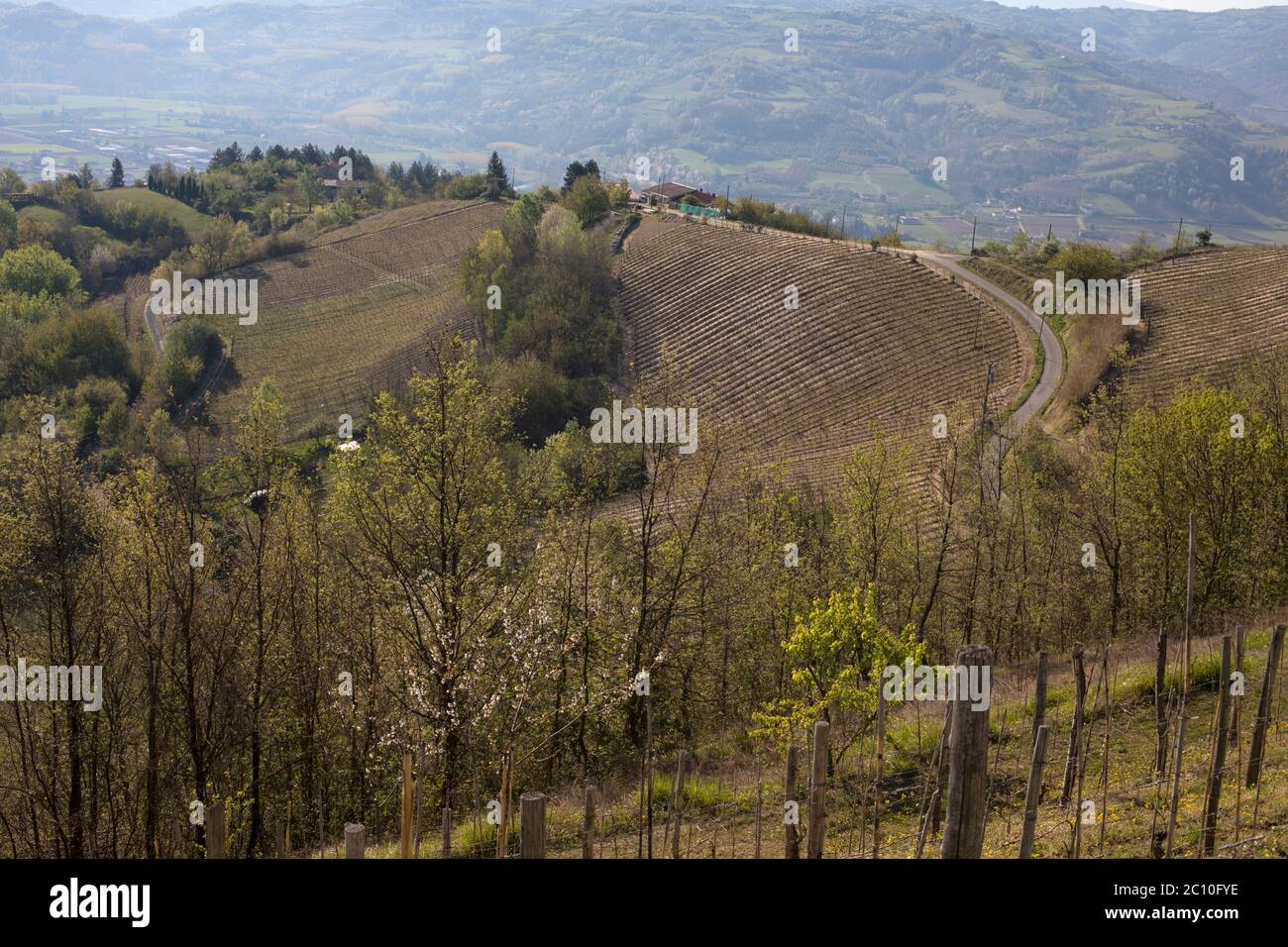 Scenic landscape with vineyards near Sessame, Bormida Valley, Piedmont, Italy Stock Photo