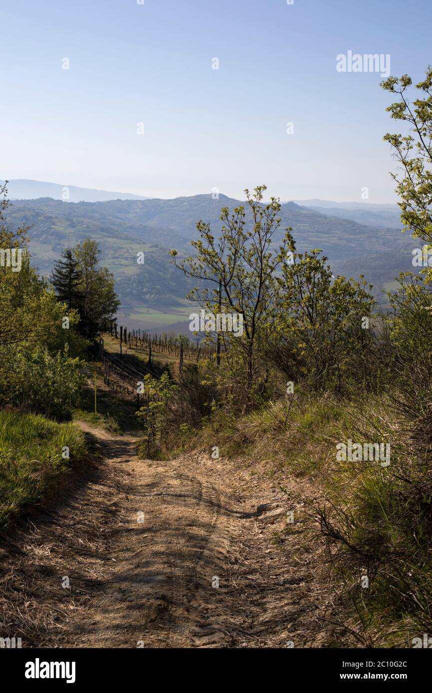Back road near Sessame, Bormida Valley, Piedmont, Italy Stock Photo