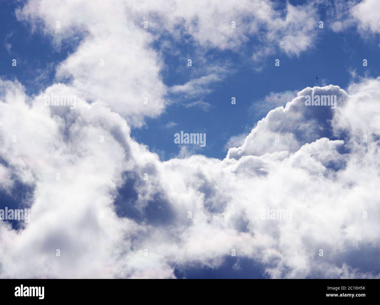 Curly blue design hi-res stock photography and images - Alamy