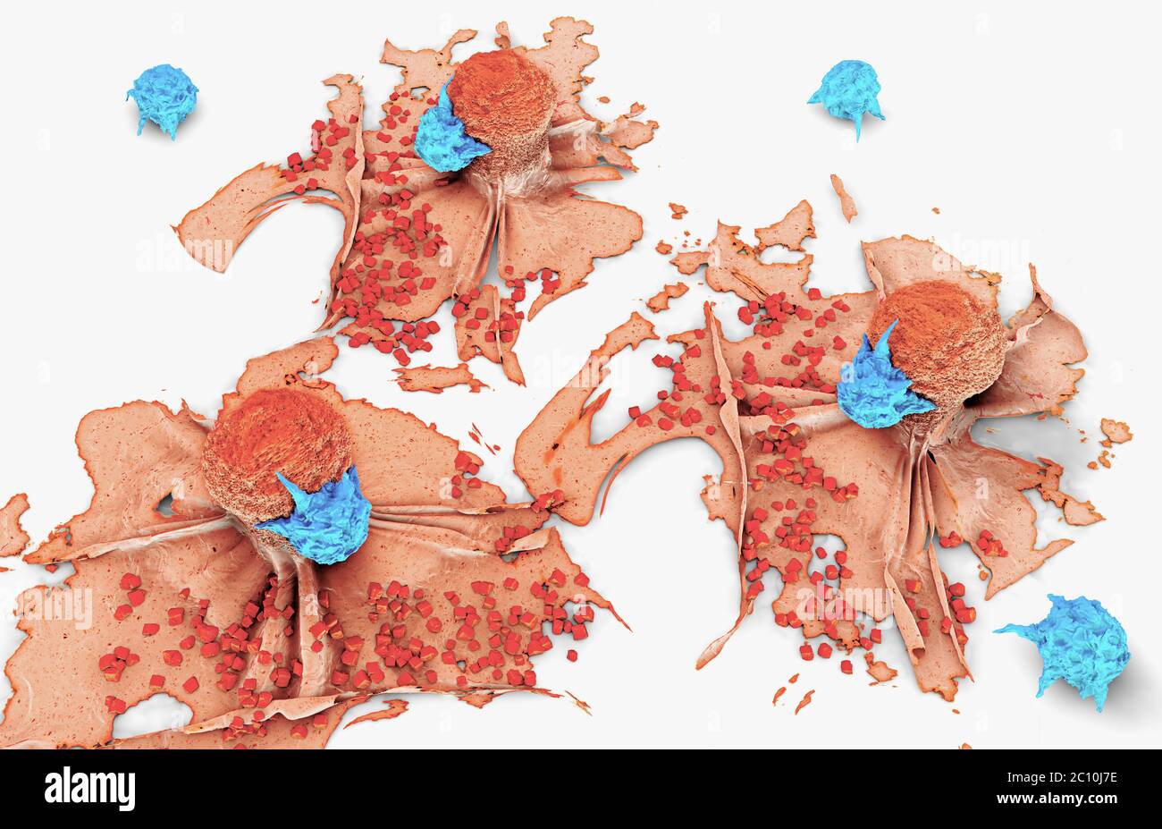 3d illustration of a cancer cell attacked and killed by lymphocytes Stock Photo