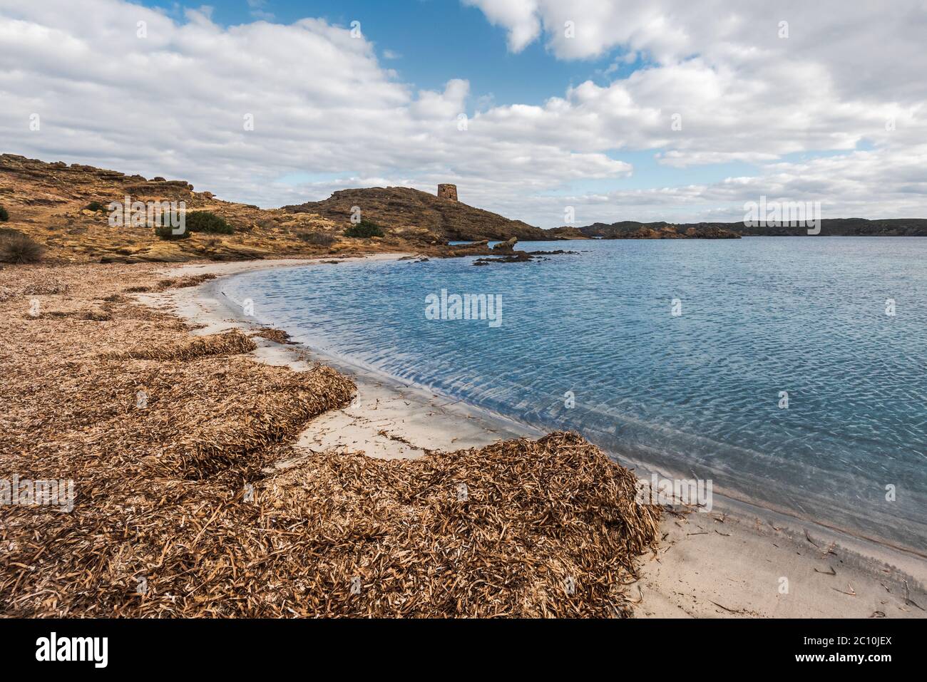 dried seaweed, Posidonia oceanica, forming banks on sand at Tamarells