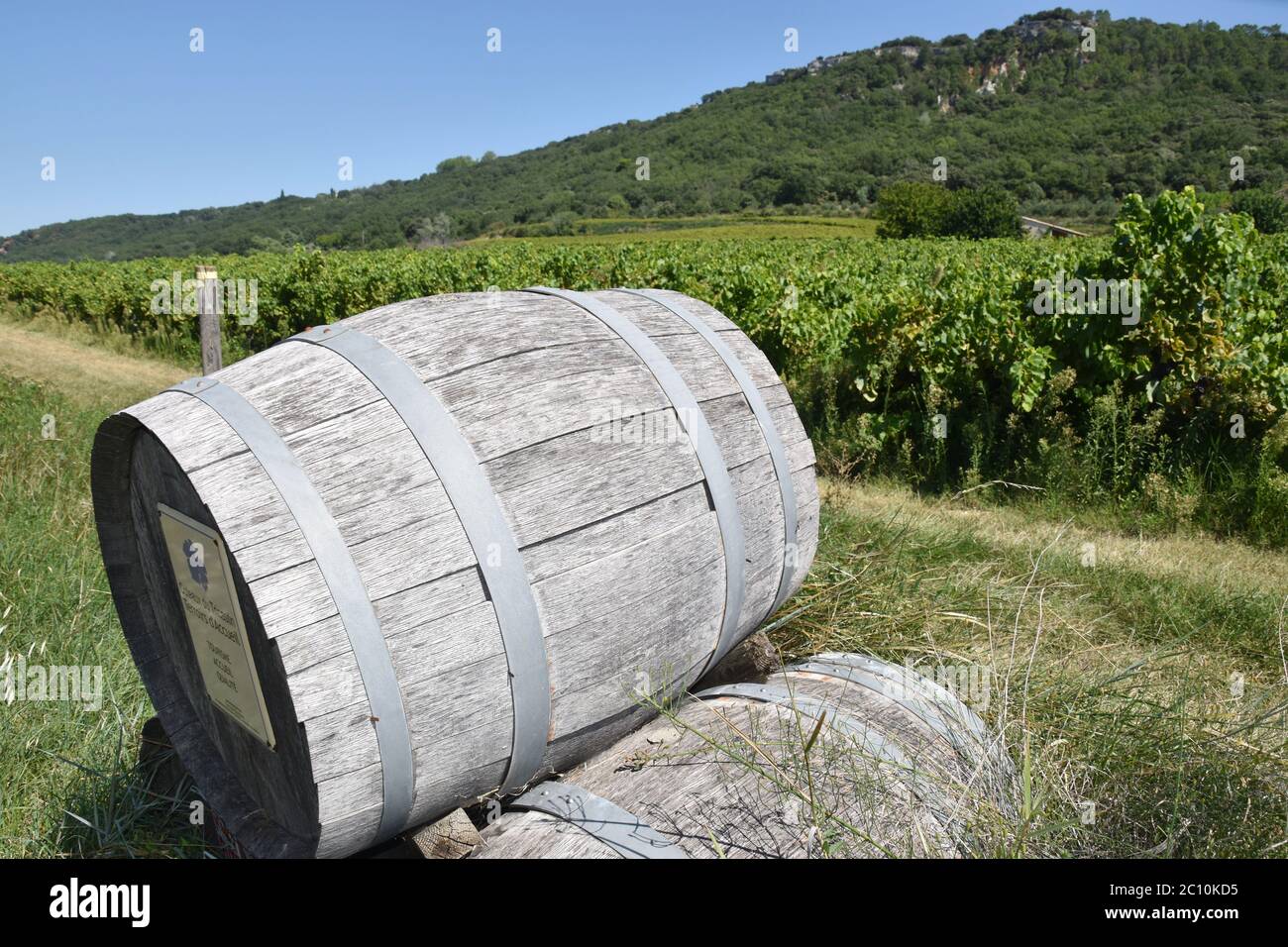 Wine barrels, Drôme Provençale, France Stock Photo Alamy