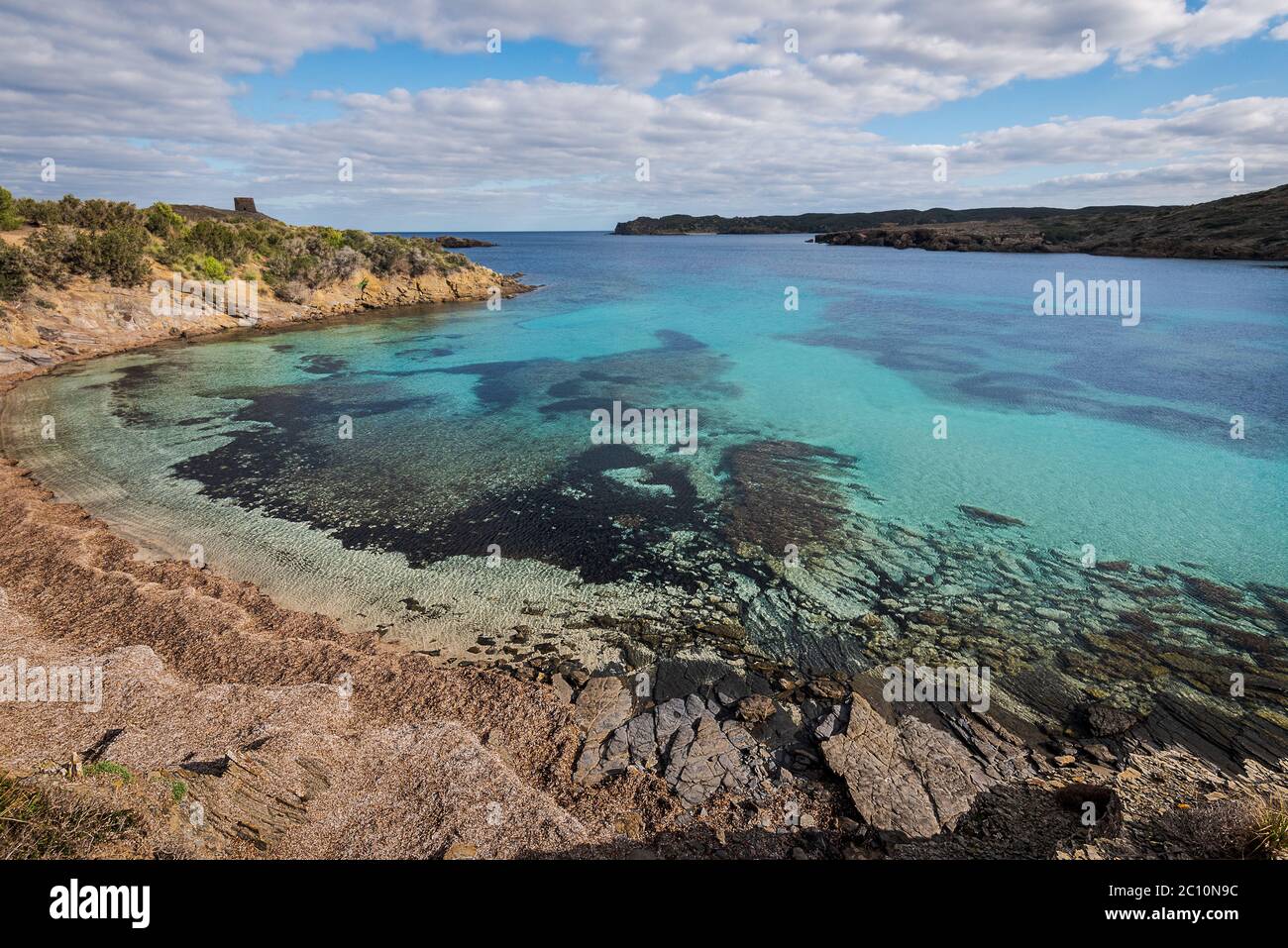 dried seaweed, Posidonia oceanica, forming banks on sand at beach in