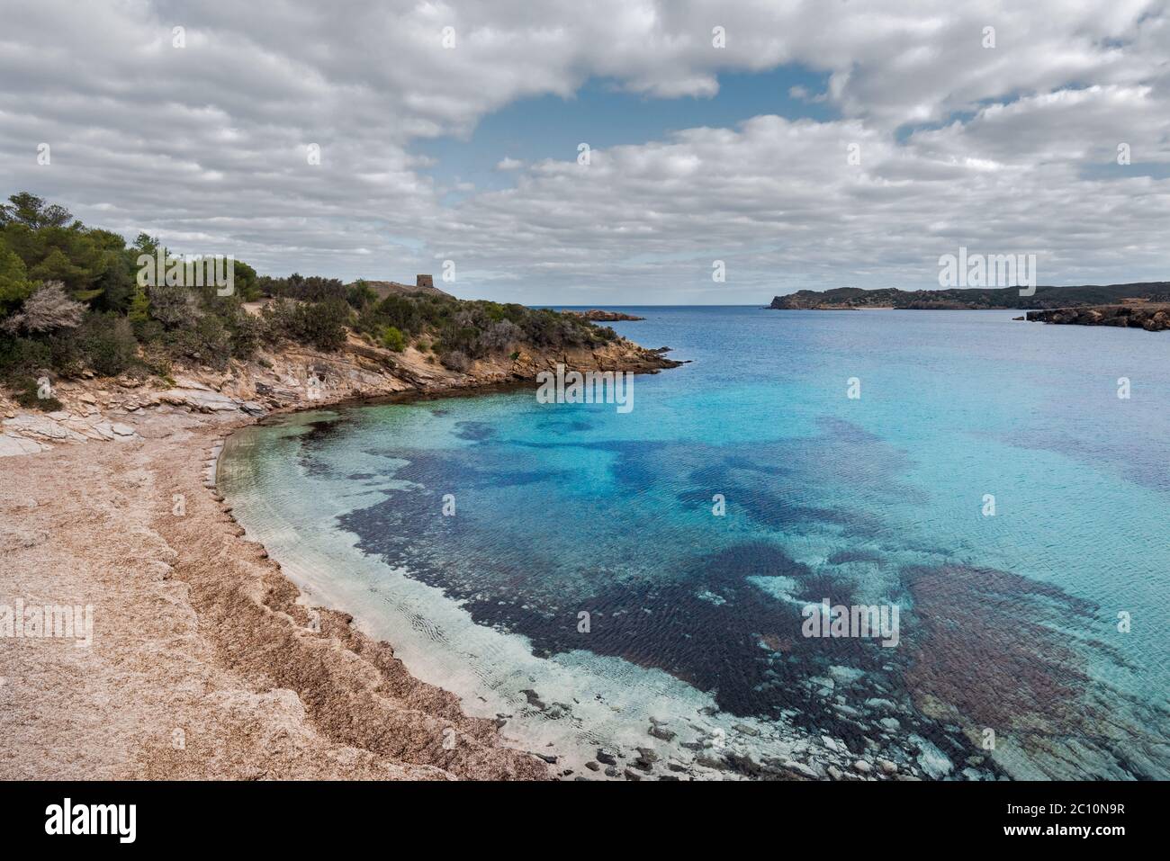 dried seaweed, Posidonia oceanica, forming banks on sand at beach in