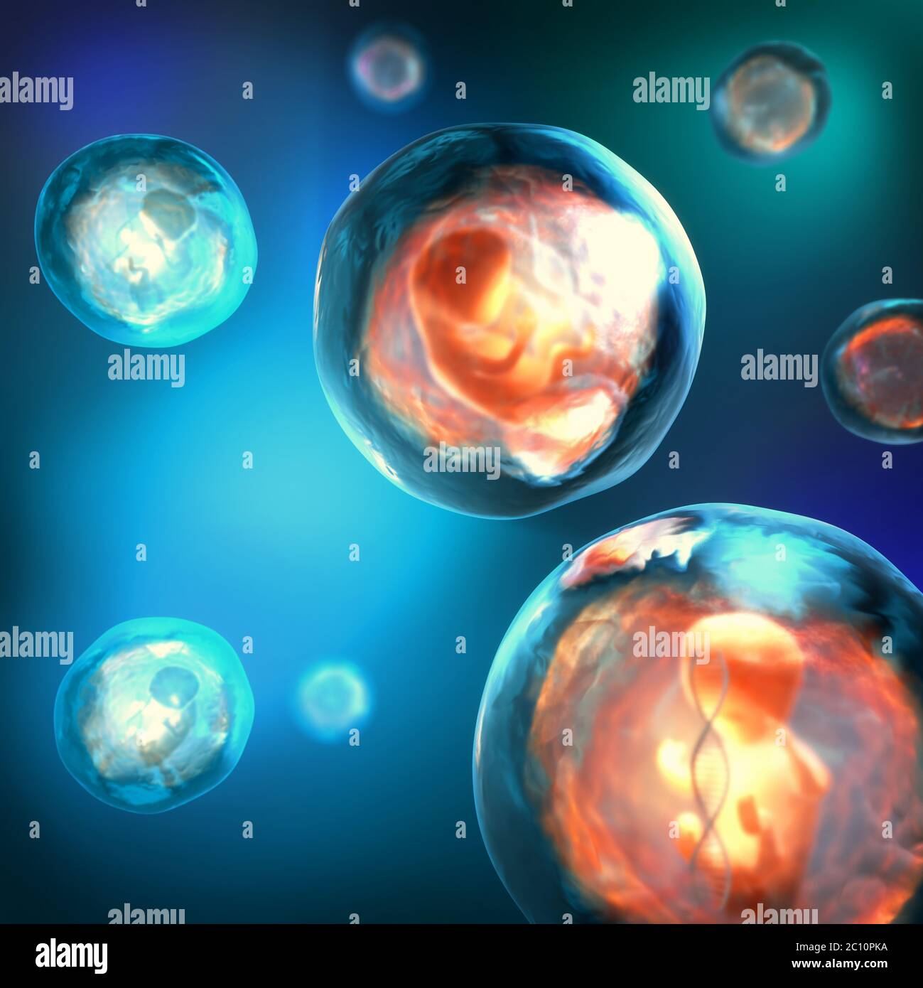 3d illustration of an unborn genetically modified embryo trapped in a transparent bubble with a DNA strand Stock Photo