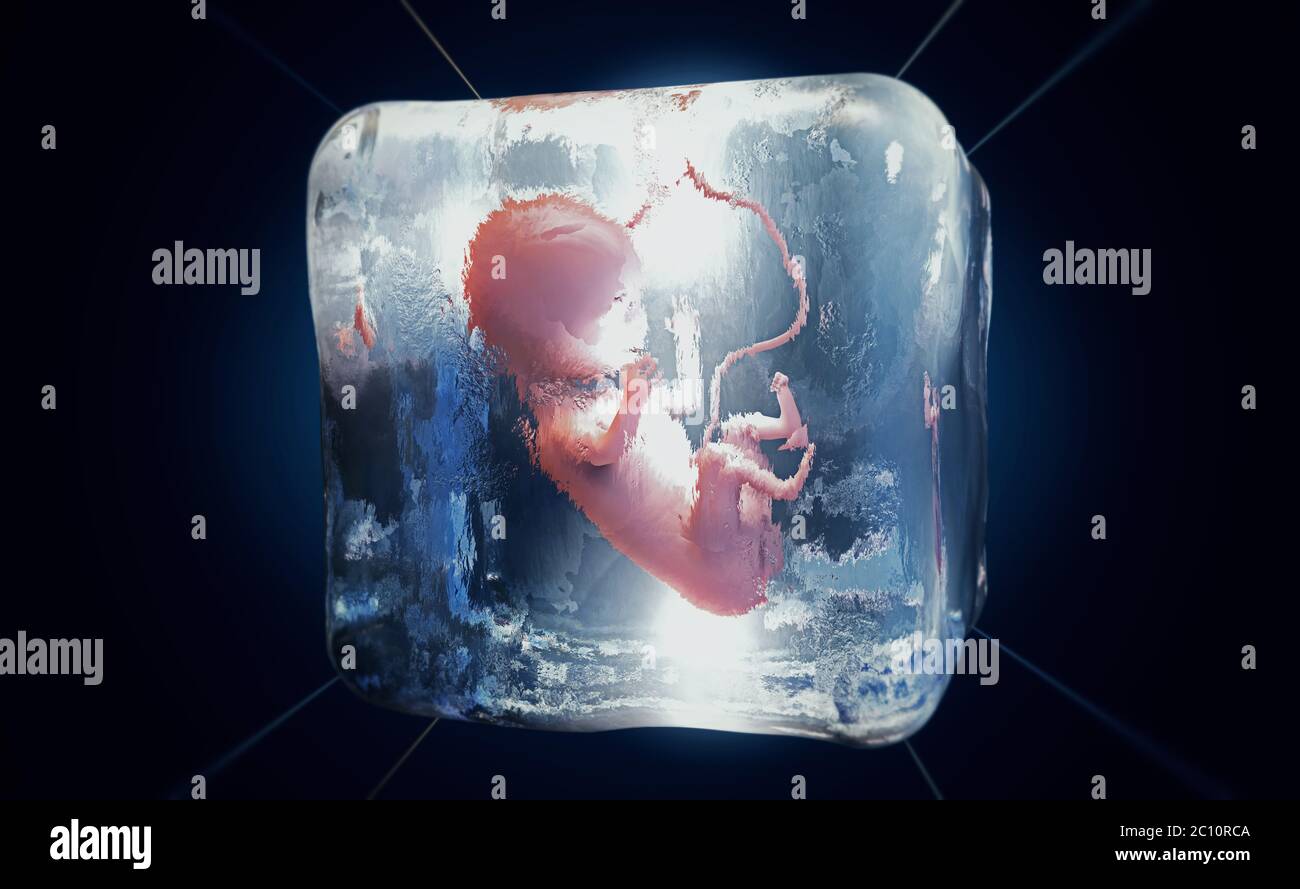3d illustration of a cryopreserved fetus frozen into ice cube Stock Photo