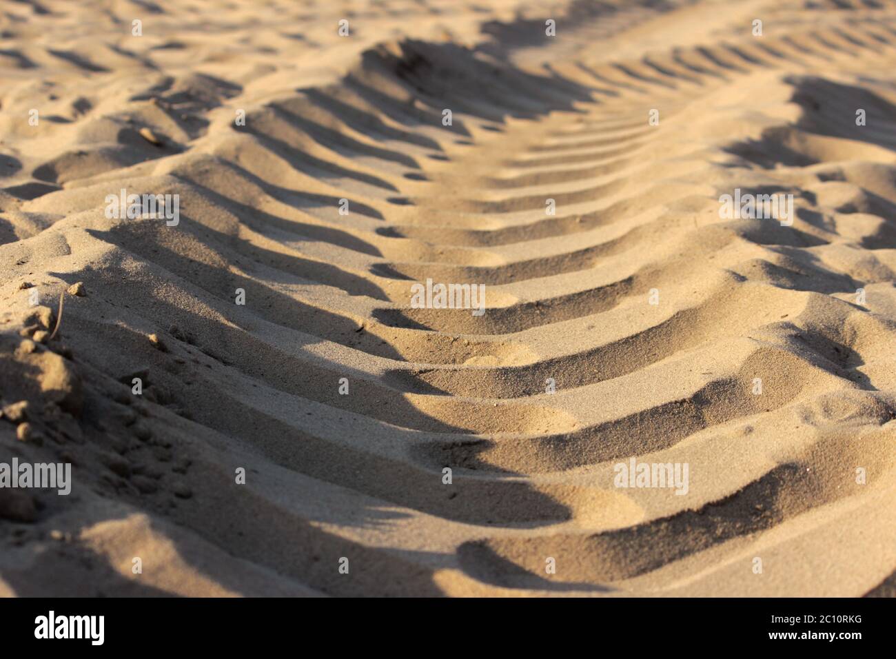 Tire tracks of a large vehicle in sand on  building area to road. Stock Photo