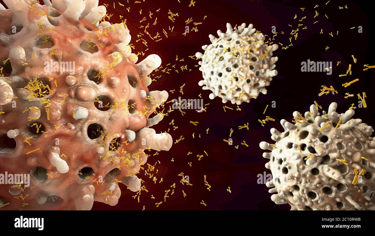 3d illustration of leukocyte seclude antibodies Stock Photo