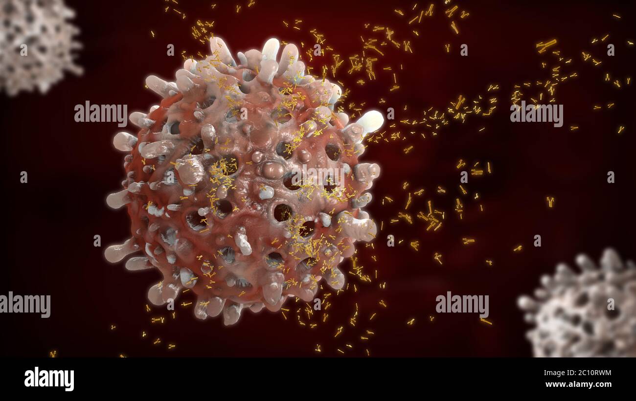 Red cell antibodies hi-res stock photography and images - Alamy