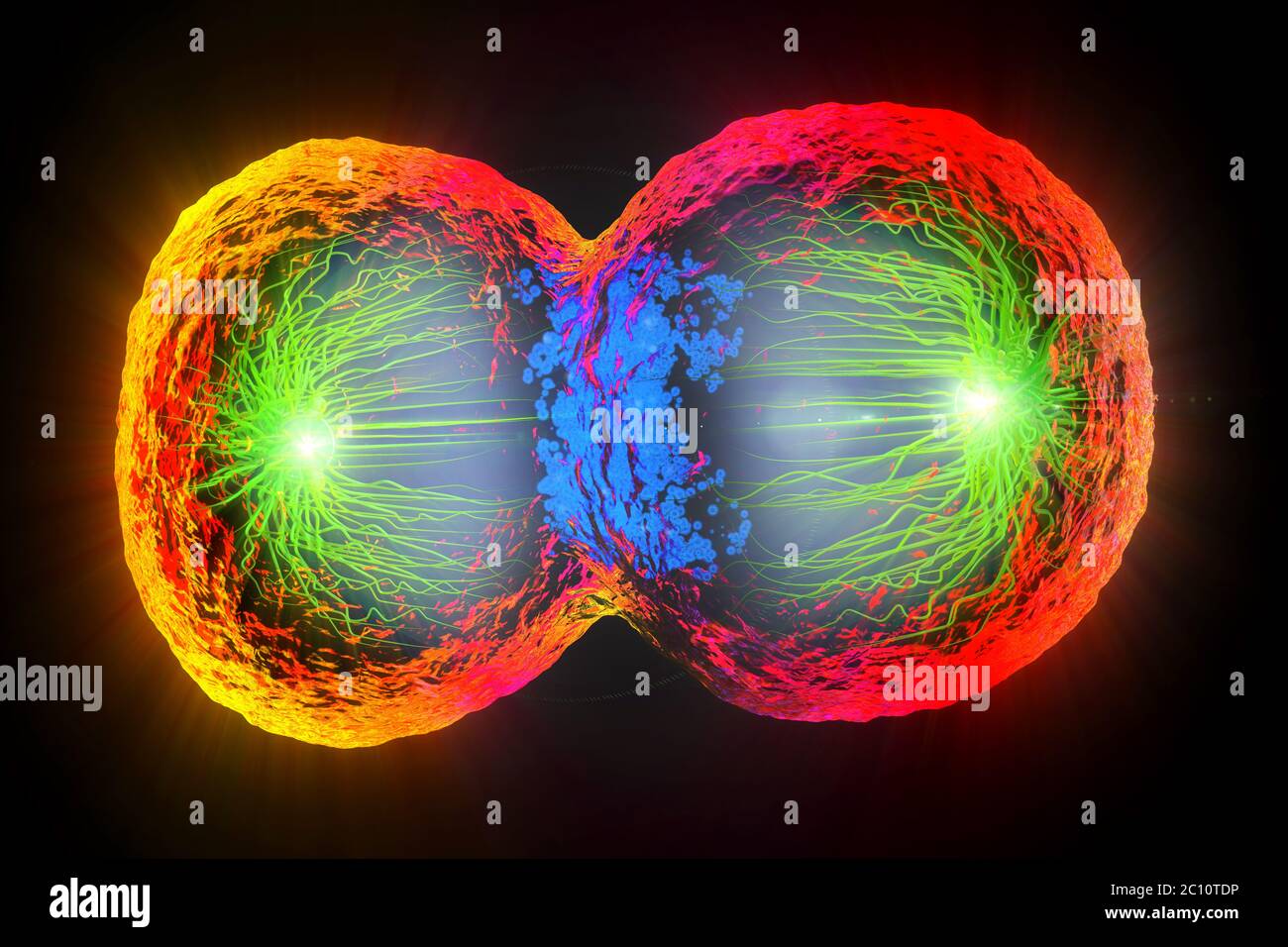 3d illustration of colorful cell division, cell membrane and splitting nucleus Stock Photo