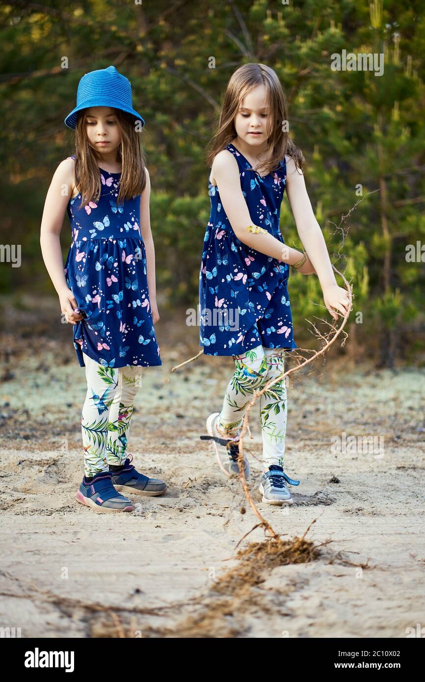 little girls in dresses pull the root on the forest road Stock Photo