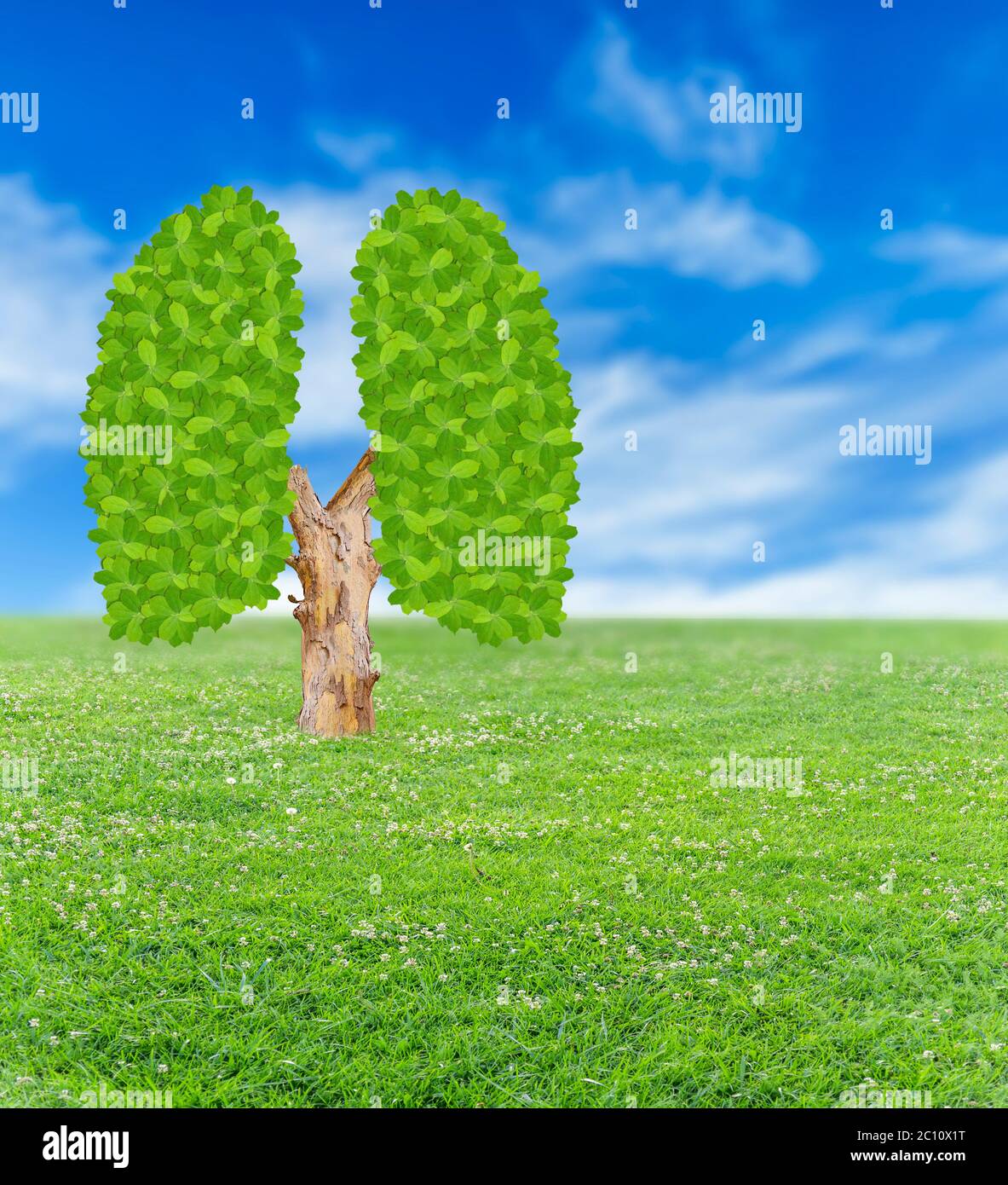 Green tree in lungs shape made from leaves on greem lawn and sky bakground Stock Photo