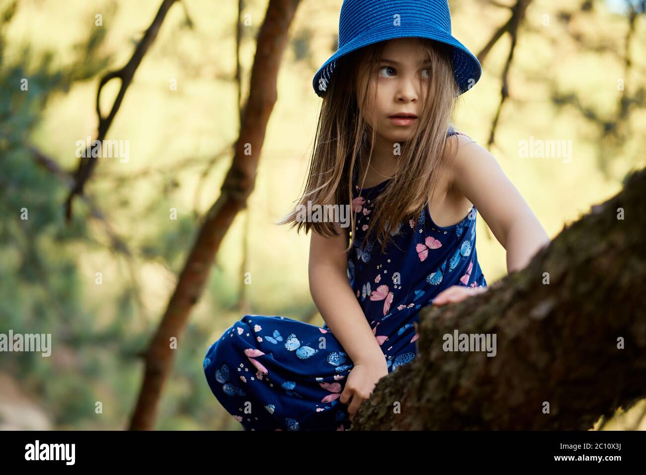 two girls in summer dresses are climbing a tree in the forest Stock Photo
