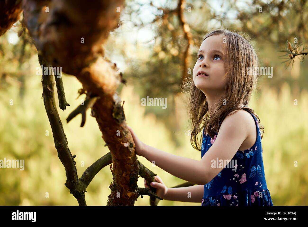 two girls in summer dresses are climbing a tree in the forest Stock Photo