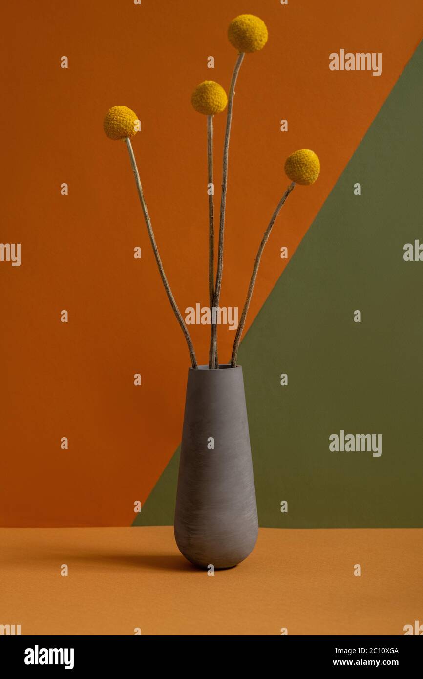 Grey clay jug or vase with several yellow dried wildflowers with long stems standing on brown table against double color wall in isolation Stock Photo