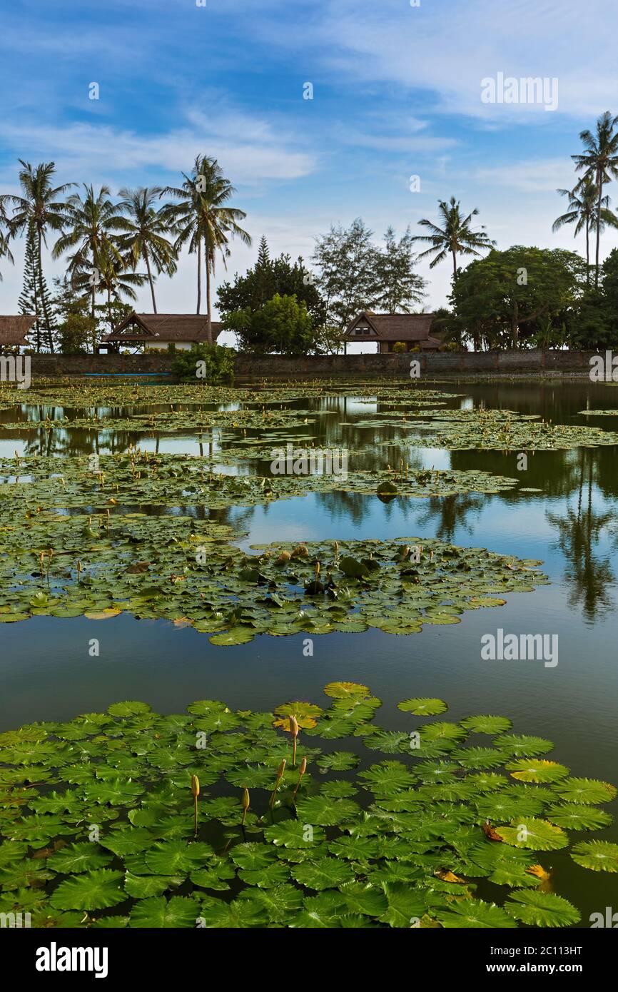 Pond in Candidasa - Bali Island Indonesia Stock Photo