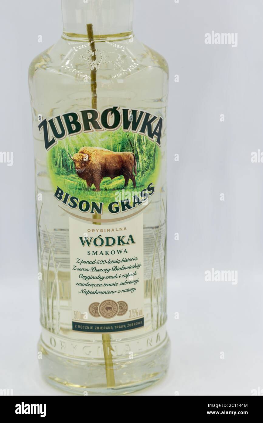 KYIV, UKRAINE - JUNE 06, 2020: Zubrowka Bison Grass vodka bottle closeup against white background. It is a flavored Polish vodka liqueur, which contai Stock Photo