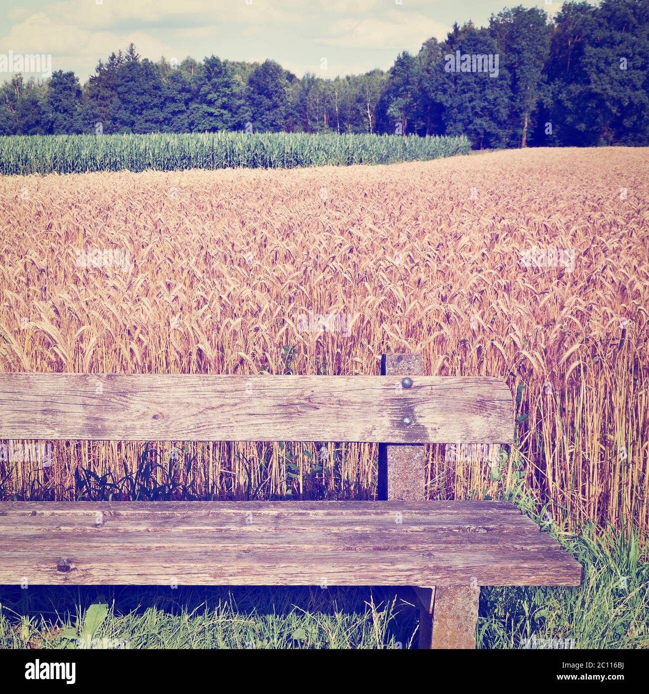 Wheat harvest vintage hi-res stock photography and images - Alamy
