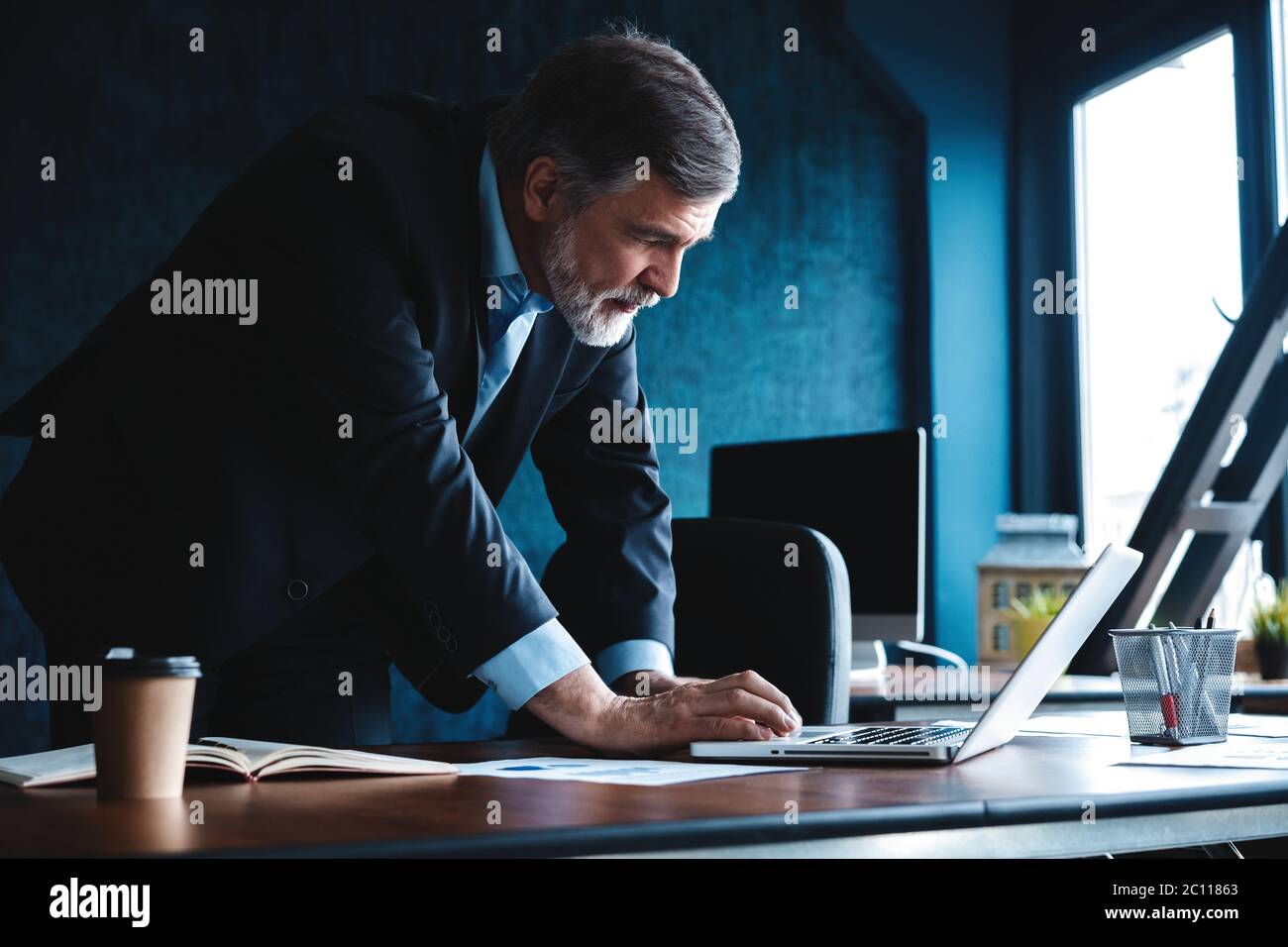 Elegant businessman analyzing data in office Stock Photo