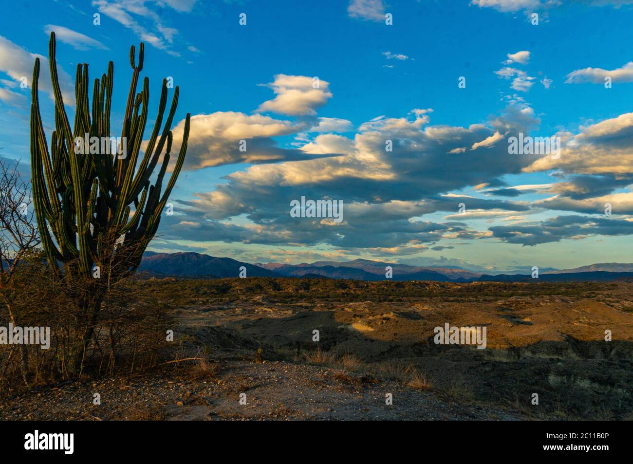 Tatacoa desert view into the vast plains Colombia Stock Photo