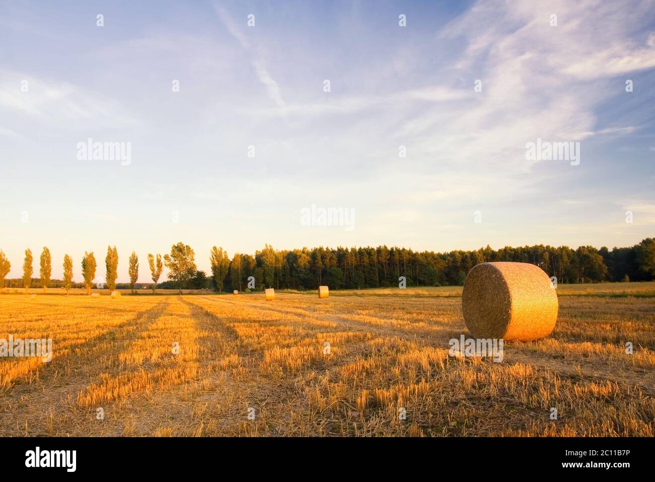 Stubble field in sunset light with straw bales Stock Photo - Alamy