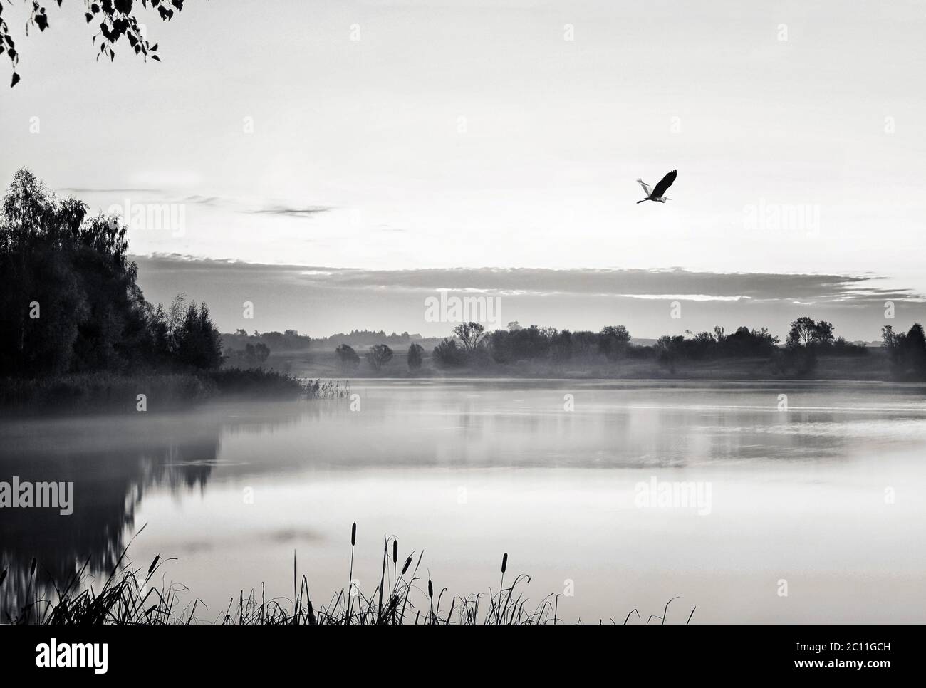 Black and white landscape with fog hi-res stock photography and images ...